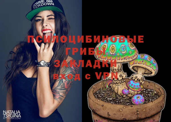 амфетамин Новодвинск