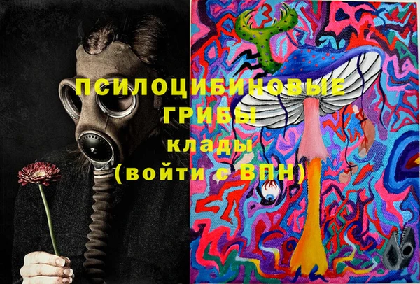 амфетамин Новодвинск